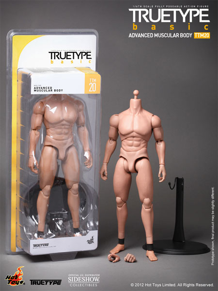 Hot Toys Truetype Figure 38