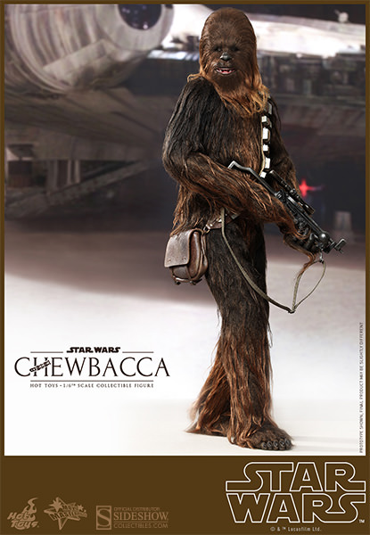 http://www.sideshowtoy.com/assets/products/902267-chewbacca/lg/902267-chewbacca-003.jpg