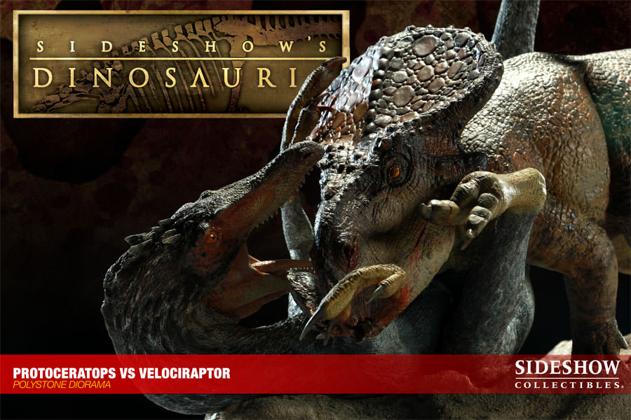 [Bild: 200077-protoceratops-vs-velociraptor-009.jpg]