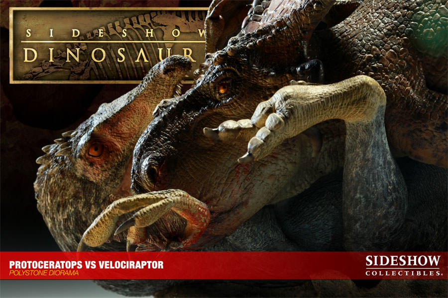 [Bild: 200077-protoceratops-vs-velociraptor-010.jpg]