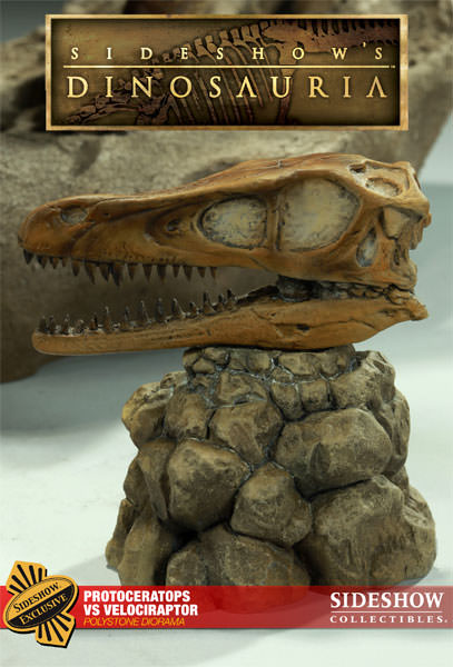 [Bild: 2000771-protoceratops-vs-velociraptor-002.jpg]