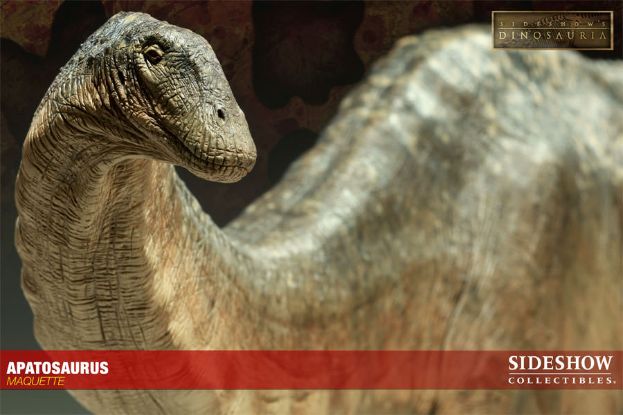 [Bild: 200134-apatosaurus-002.jpg]