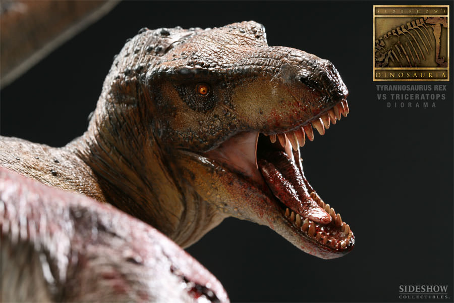 [Bild: 3102-tyrannosaurus-rex-vs-triceratops-diorama-006.jpg]