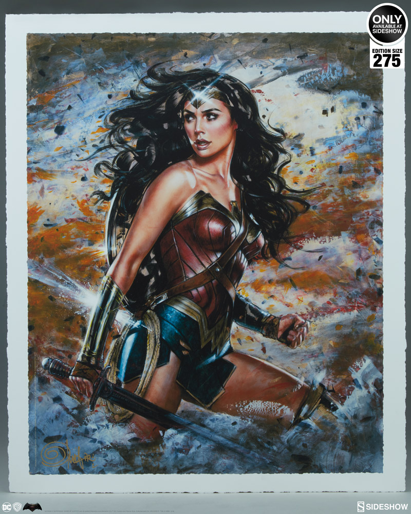 [Bild: dc-comics-wonder-woman-amazon-warrior-fi...530-02.jpg]