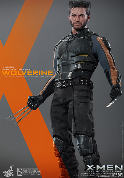 https://www.sideshowtoy.com/assets/products/902281-wolverine/lg/902281-wolverine-007.jpg