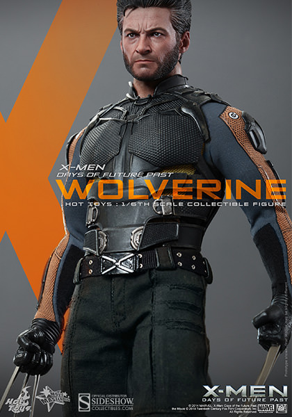 https://www.sideshowtoy.com/assets/products/902281-wolverine/lg/902281-wolverine-009.jpg