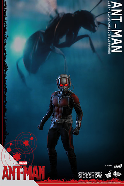 https://www.sideshowtoy.com/assets/products/902448-ant-man/lg/902448-ant-man-06.jpg