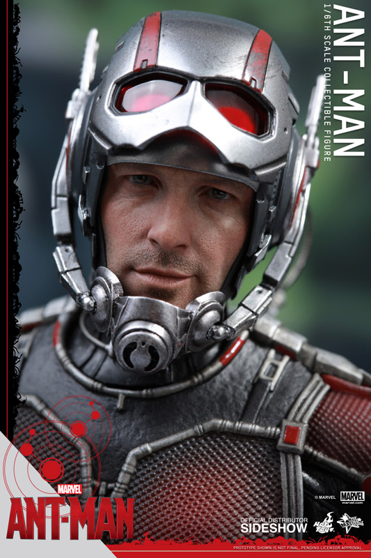 https://www.sideshowtoy.com/assets/products/902448-ant-man/lg/902448-ant-man-19.jpg